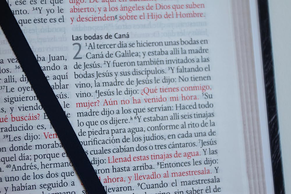 Biblia Reina Valera 1960 · Letra grande