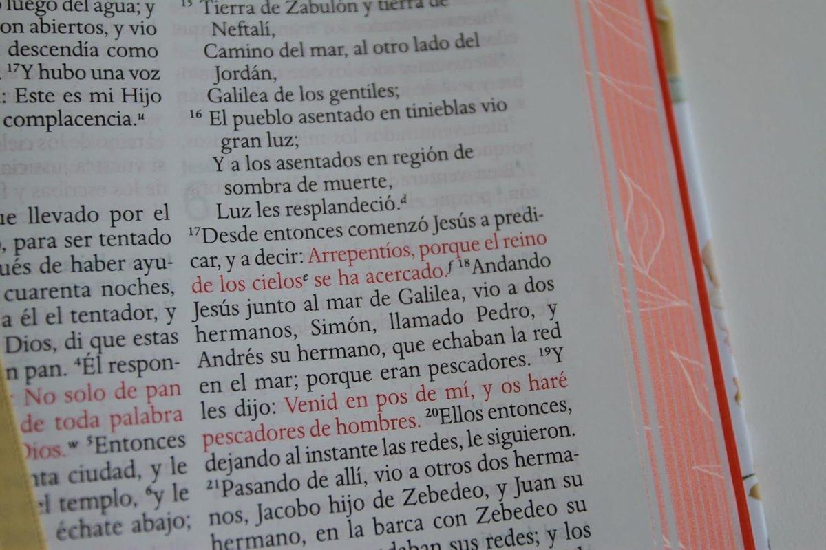 Biblia Reina Valera 1960 · Tapa dura · Diseño con flores rosadas