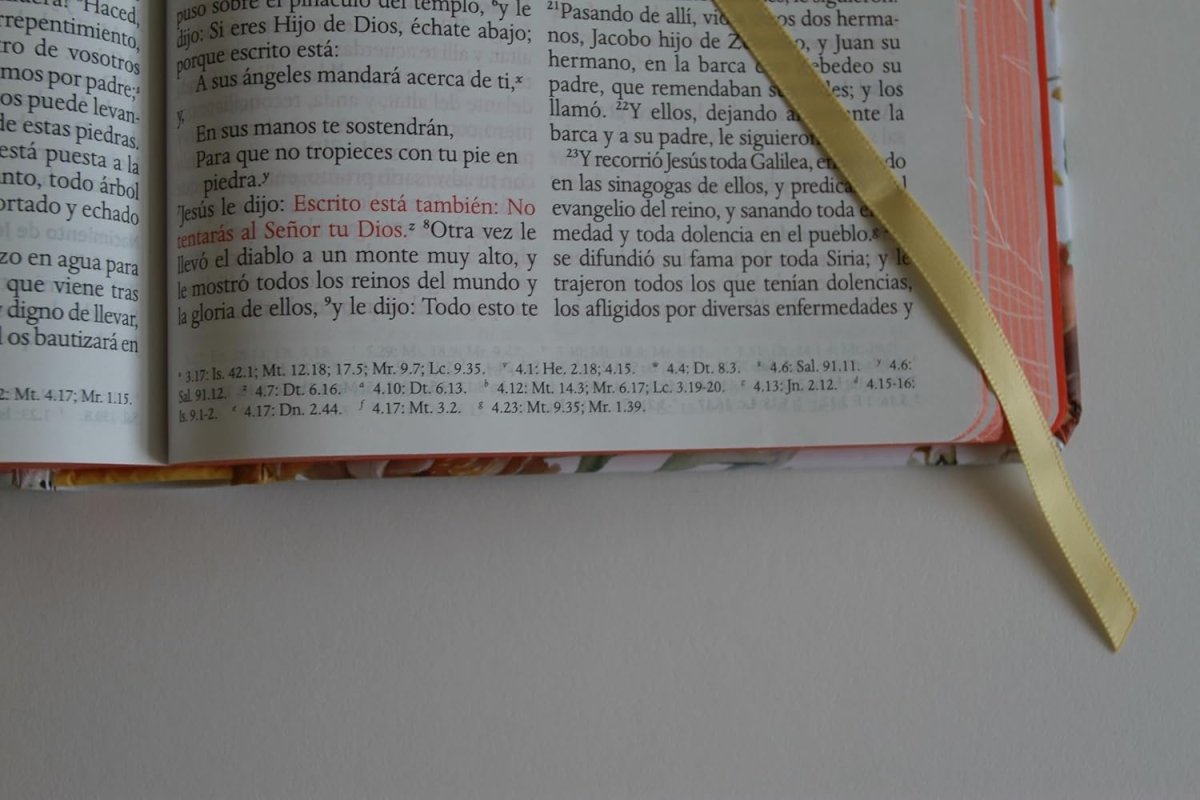 Biblia Reina Valera 1960 · Tapa dura · Diseño con flores rosadas