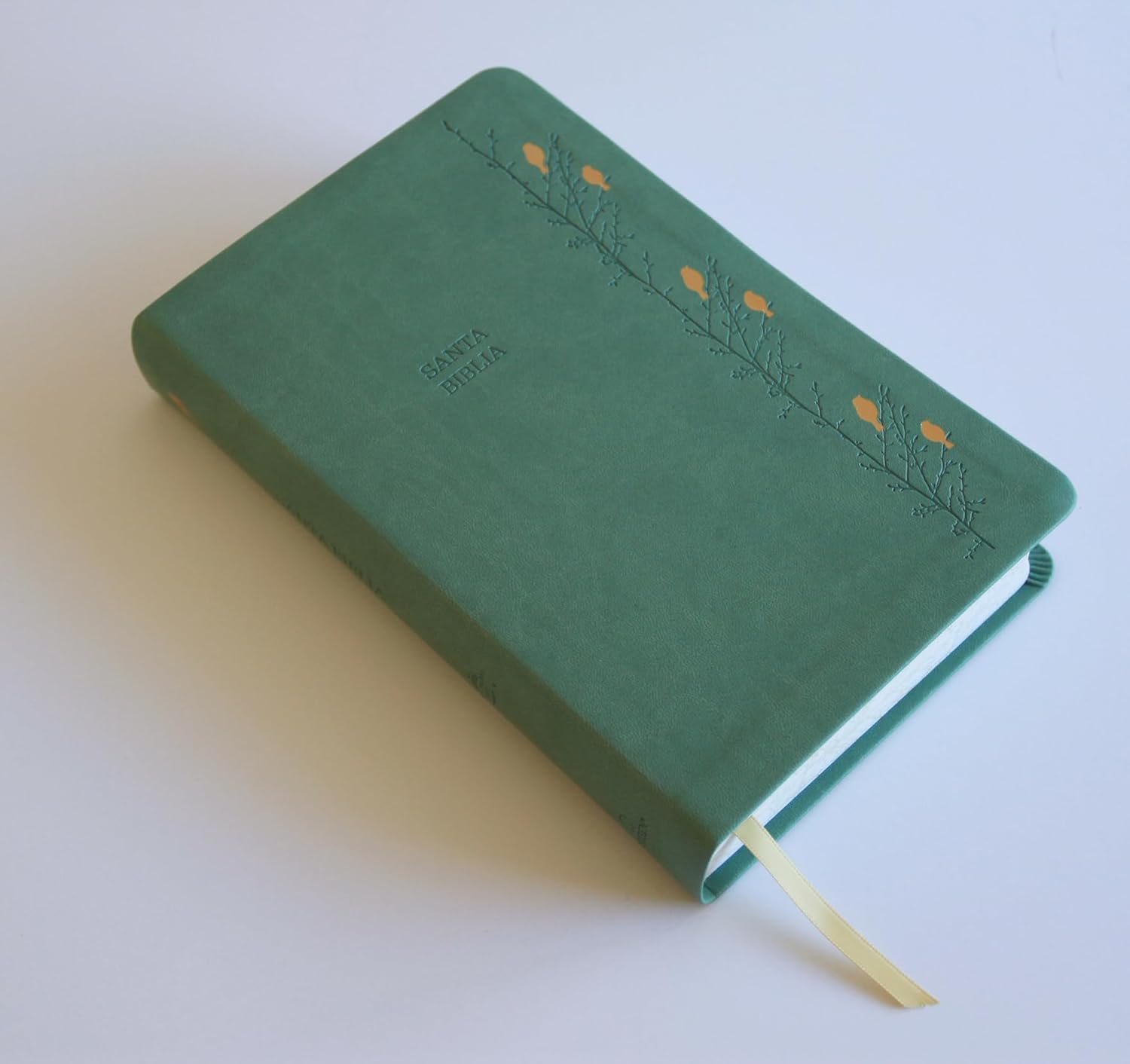 Biblia Reina-Valera 1960, Letra 14 Pt, 14×21, Palabras De Jesús En Rojo, Concordancia, Tapa PU, Verde, Pájaros