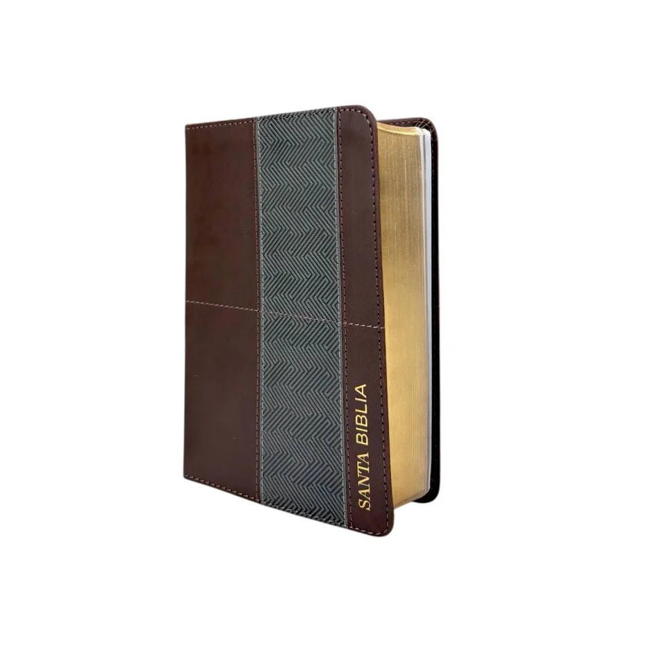 Biblia Reina Valera 1960 045C L 10P 13X18 Pjr Geométrico Café