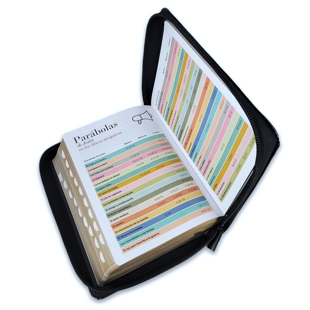 Biblia Reina Valera 1960 045Czti L 10P 13X18 Pjr Aguila