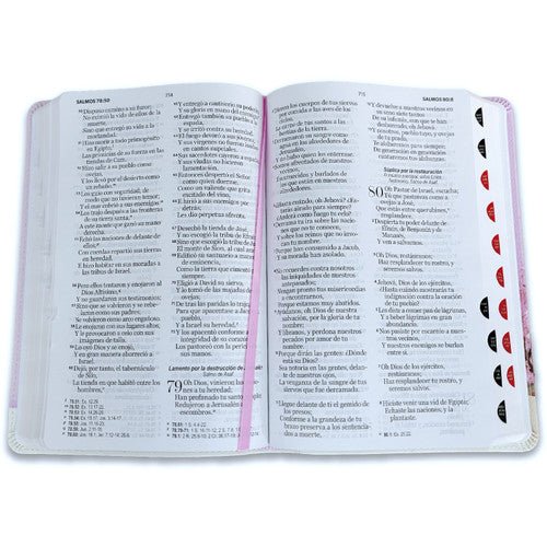 Biblia RVR60 065cti Colección Supreme Lila con jarrón