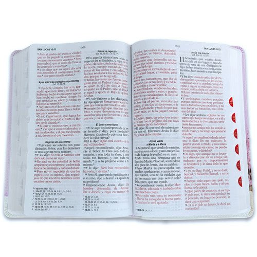 Biblia RVR60 065cti Colección Supreme Lila con jarrón