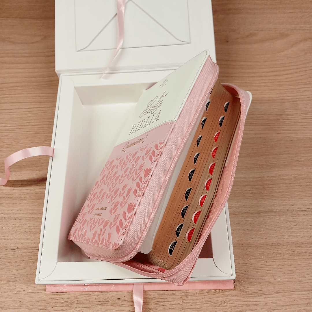 Biblia Reina Valera 1960 045Cti L 10P 11X16 Quinceañera Rosa/Blanco