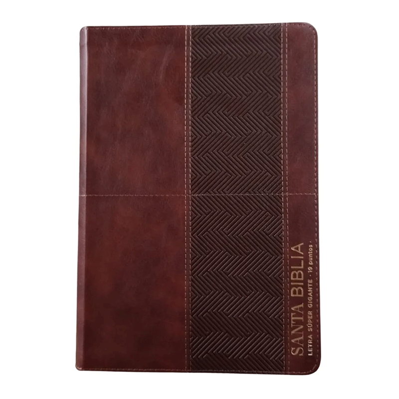 Biblia Reina Valera 1960 088C Lsgi 19P 16X23 Café Geo