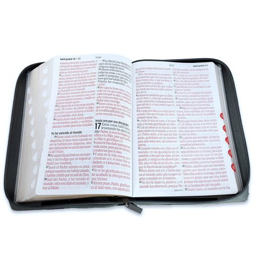 Biblia Reina Valera 1960 · 15,8x23,5 cm · Letra súper gigante 19 pt · Con cierre e índice · Colección Inspiración león negro y gris