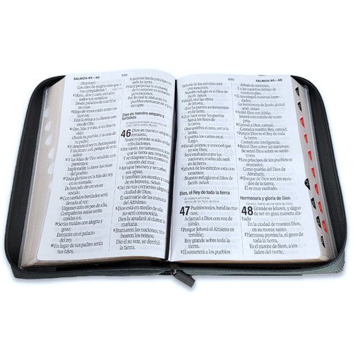 Biblia Reina Valera 1960 · 15,8x23,5 cm · Letra súper gigante 19 pt · Con cierre e índice · Colección Inspiración león negro y gris