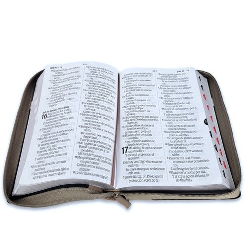 Biblia Reina Valera 1960 088Czti Lsgi 19P 16X23 Tech Dot Negro/Café/Beige