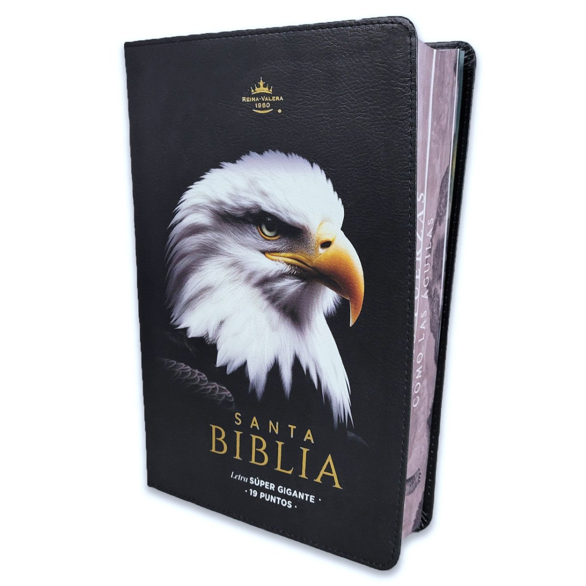 Biblia Reina Valera 1960 088C Lsgi 19P 16X23 Cp Pjr Nuevas Fuerzas