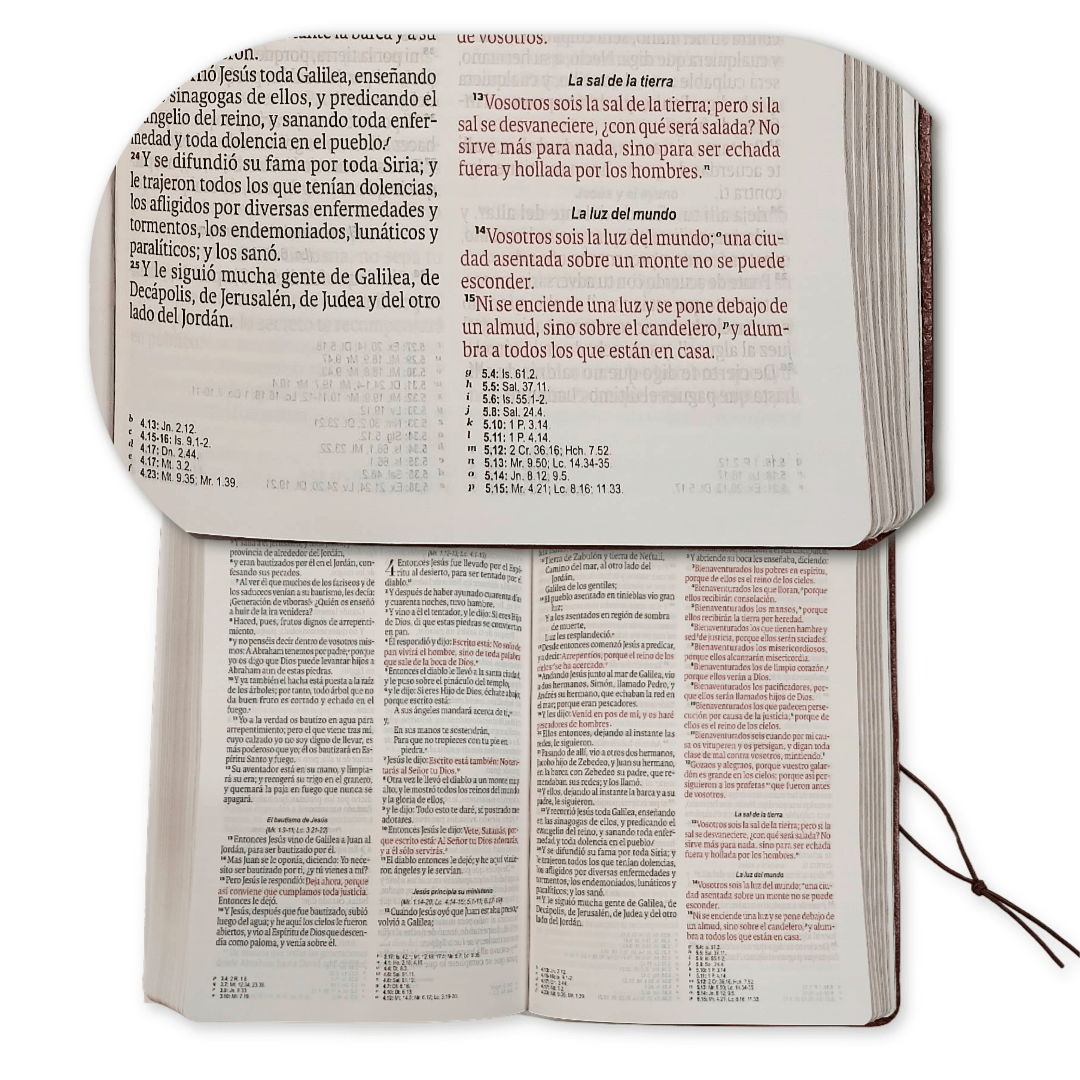 Biblia Reina Valera 1960 Vintage – Con Concordancia – Letra 11 pts – 14x21 cm – Tapa PU – Café