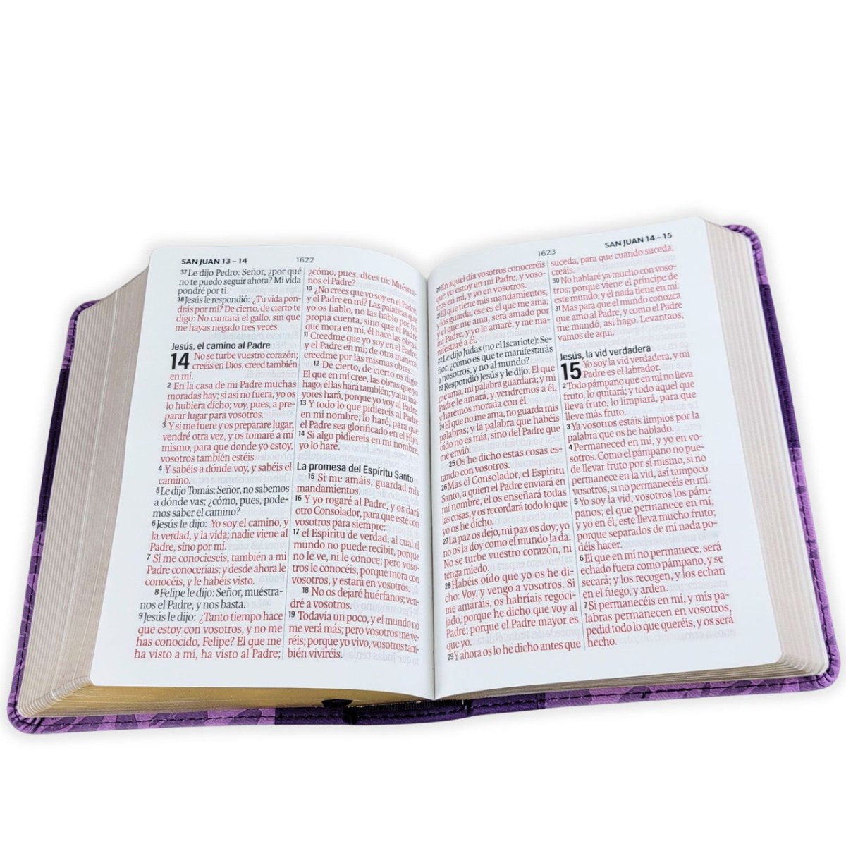 Biblia Reina Valera 1960 Vintage – Con Concordancia – Letra 11 pts – 14x21 cm – Tapa PU – Lila