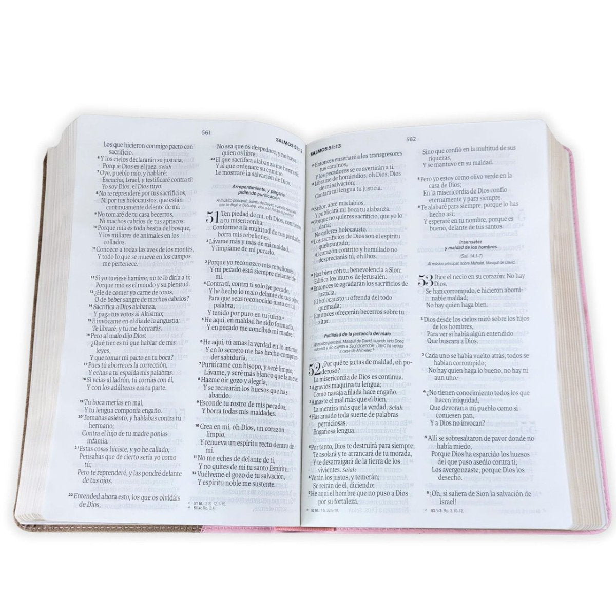 Biblia Reina Valera 1960 Vintage – Con Concordancia – Letra 11 pts – 14x21 cm – Tapa PU – Rosa/Café