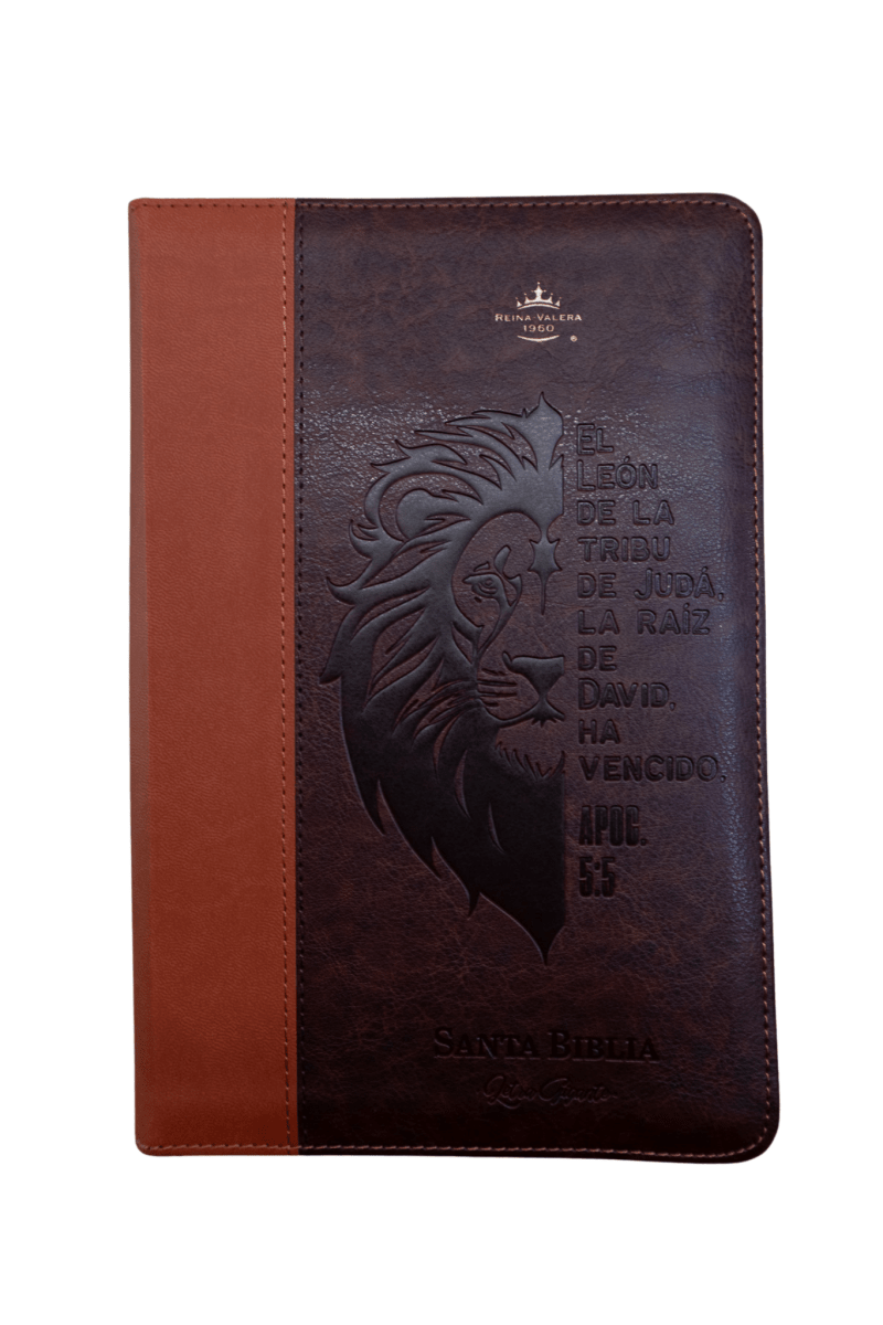 Biblia Reina Valera 1960 – 068 – Con Concordancia – Letra 14 pts – 14x21 cm – Cierre – Marrón/Naranja – León de Judá