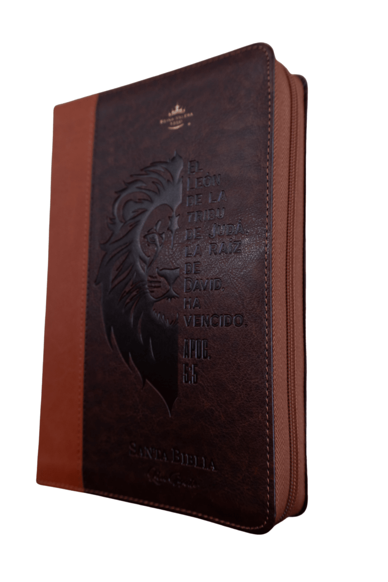 Biblia Reina Valera 1960 – 068 – Con Concordancia – Letra 14 pts – 14x21 cm – Cierre – Marrón/Naranja – León de Judá