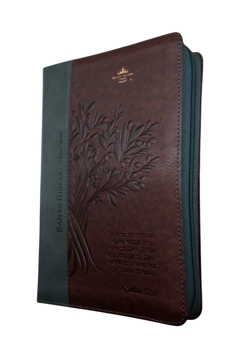 Biblia Reina Valera 1960 – 068 – Con Concordancia – Letra 14 pts – 14x21 cm – Cierre – Café/Verde Olivo