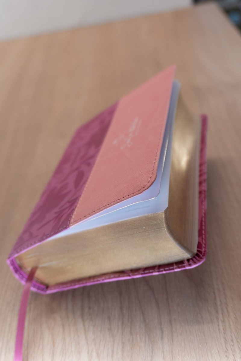 Biblia Reina Valera 1960 – 035 – Con Concordancia – Letra 12 pts – 11x16 cm – Rosa/Fucsia
