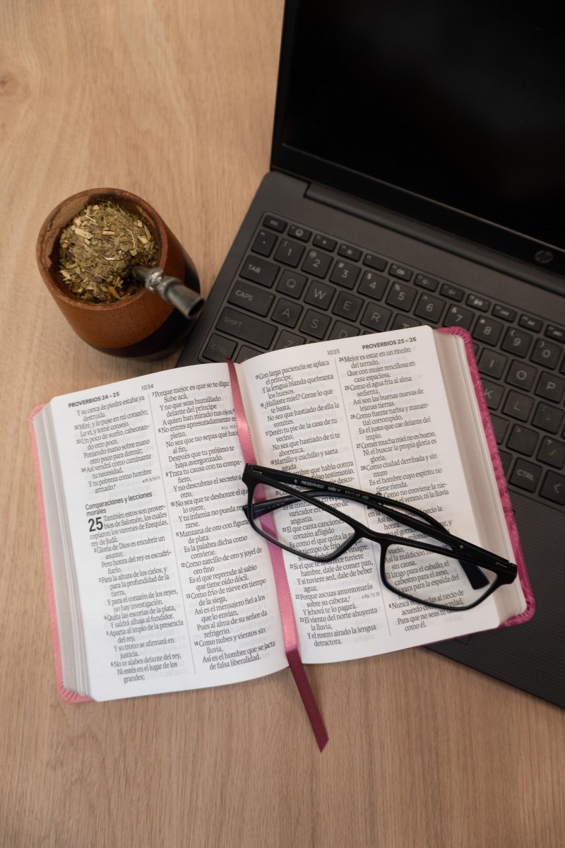 Biblia Reina Valera 1960 – 035 – Con Concordancia – Letra 12 pts – 11x16 cm – Rosa/Fucsia