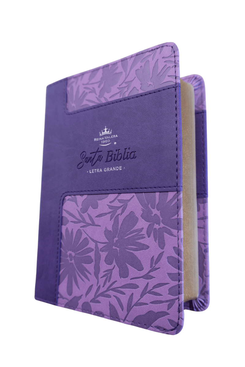 Biblia Reina Valera 1960 – 035 – Con Concordancia – Letra 12 pts – 11x16 cm – Lila