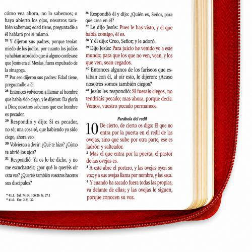 Biblia Reina Valera 1960 – Con Concordancia – Letra 11 pts – 16x23 cm – Palabras de Jesús en Rojo – Cierre – Coral Delicado