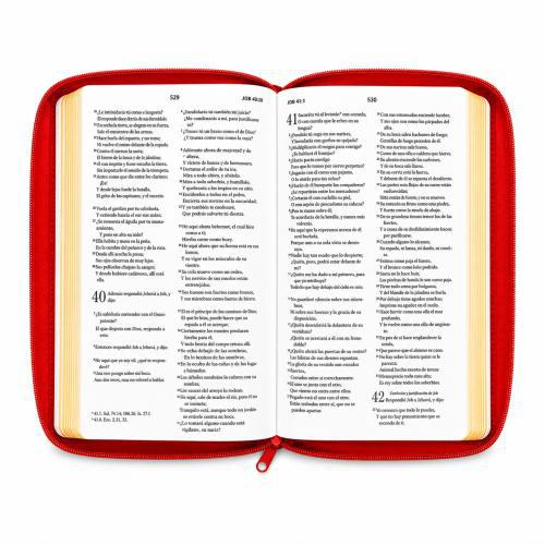 Biblia Reina Valera 1960 – Con Concordancia – Letra 11 pts – 16x23 cm – Palabras de Jesús en Rojo – Cierre – Coral Delicado
