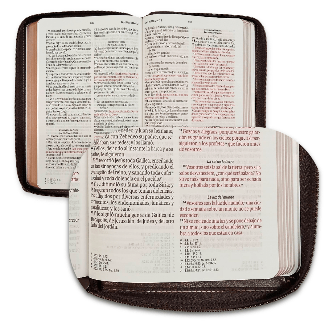 Biblia Reina Valera 1960 – Con Concordancia – Letra 11 pts – 16x23 cm – Palabras de Jesús en Rojo – Cierre – Moka Águila