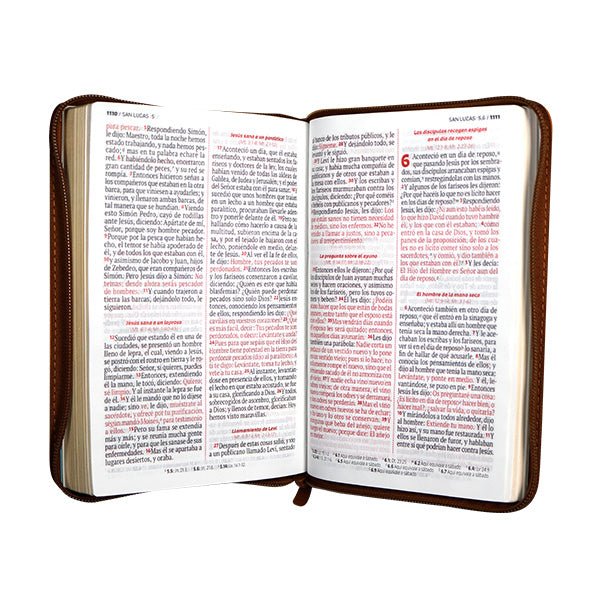 Biblia Reina Valera 1960 – 066 – Letra 12 pts Grande – 13,5x21 cm – Palabras de Jesús en Rojo – Tapa PU – El Camino, la Verdad y la Vida – Marron