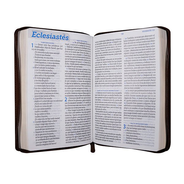 Biblia Traducción en Lenguaje Actual – 066 – Letra 11 pts – 14x21 cm – Palabras de Jesús en Rojo – Cierre – Tapa PU Marron
