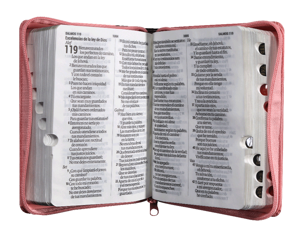 Biblia Reina Valera 1960 Letra Mayor Cierre Indice Marr/rosa