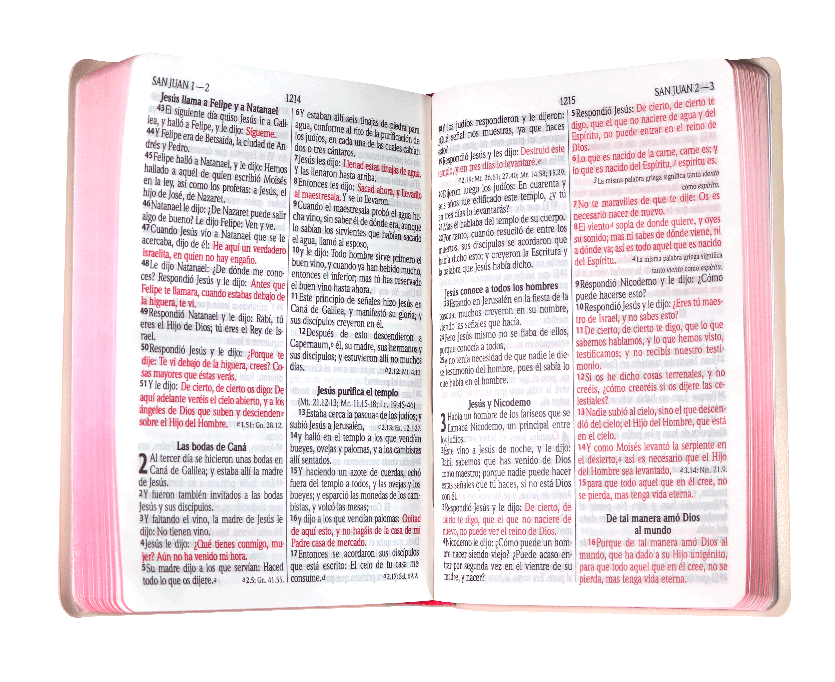 Biblia Reina Valera 1960 Letra Grande 12p Concordancia Leon Rosa