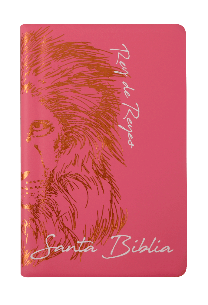 Biblia Reina Valera 1960 Letra Grande 12p Concordancia Leon Rosa