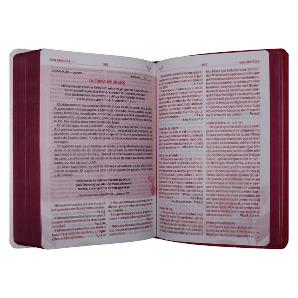 Biblia Temática Madres que Interceden Reina Valera 1960 – Tapa Imitación Piel Canto Plateado, Palabras de Jesús en Rojo, 14 x 20 cm, Letra 12 Puntos