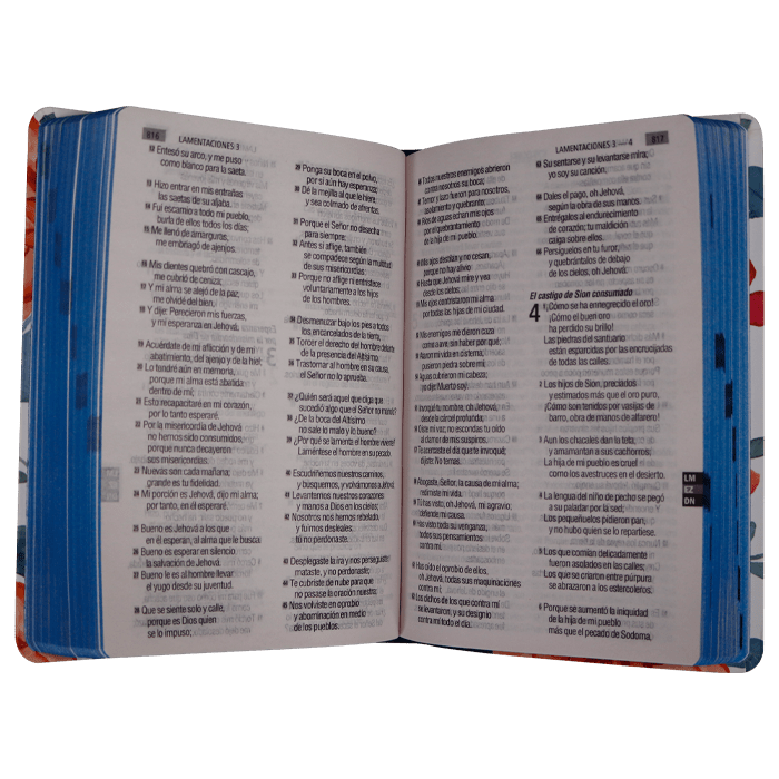 Biblia Reina Valera 1960 – Tapa Vinilo Flores Fondo Blanco Borde Azul, Concordancia, Palabras de Jesús en Rojo, 14 x 22 cm, Letra 12 Puntos
