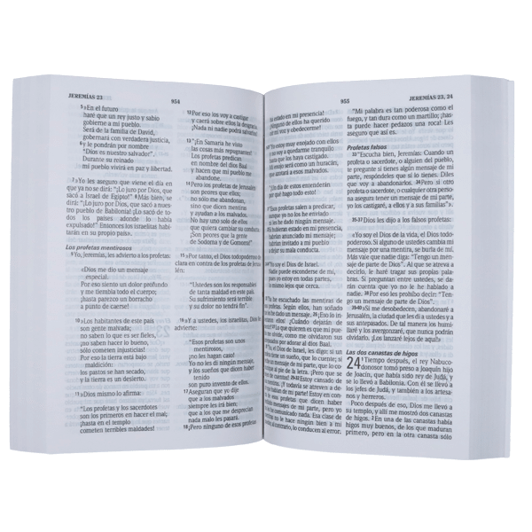 Biblia Encarcelados Traducción Lenguaje Actual – Tapa Cartulina Multicolor, 14 x 21 cm, Letra 9 Puntos