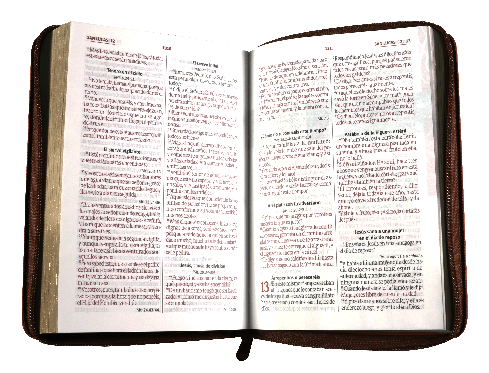 Biblia Reina Valera 1960 – 056 – Con Concordancia – Letra 10 pts – 14,5x20 cm – Palabras de Jesús en Rojo – Cierre – Tapa PU Oraciones Marron