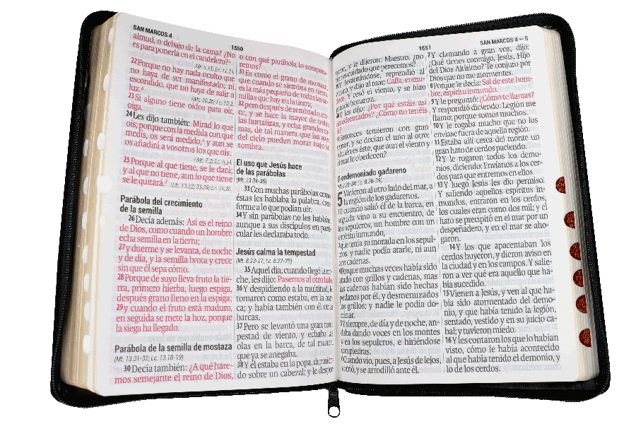 Biblia Reina Valera 1960 Letra Super Gigante 19 Puntos Negra