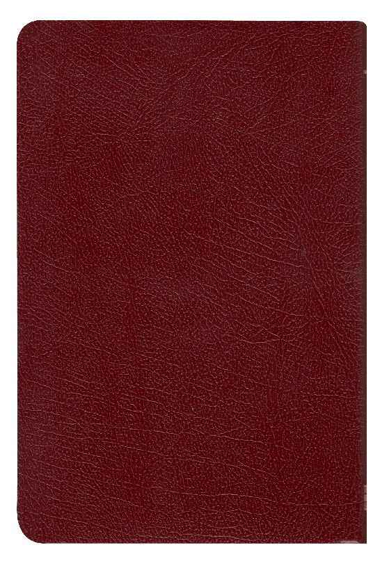 Biblia Reina Valera 1960 – Tapa Imitación Piel Bordó Covertext, 14 x 21 cm, Letra 9 Puntos