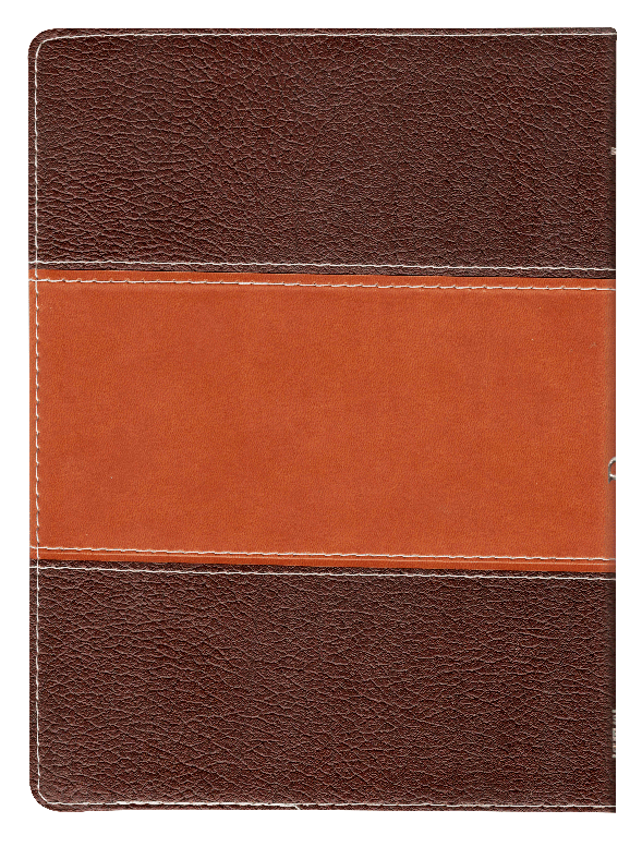 Biblia Reina Valera 1960 Para La Predicacion Letra Grande