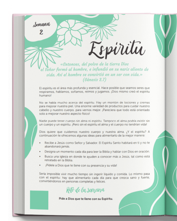 Biblia Devocional BibliArte · Reina Valera Contemporánea · Letra grande 12 puntos · Tapa Dura Revestida en Tela Rosa y Blanco + Bolso de regalo para transportarla