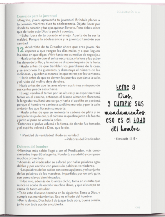 Biblia Devocional BibliArte · Reina Valera Contemporánea · Letra grande 12 puntos · Tapa Dura Revestida en Tela Rosa y Blanco + Bolso de regalo para transportarla