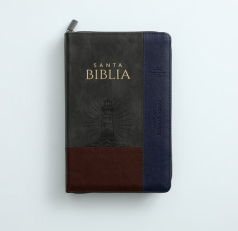 Biblia RVR065LG czti PJR Inspiración Marrón/Gris/Azul