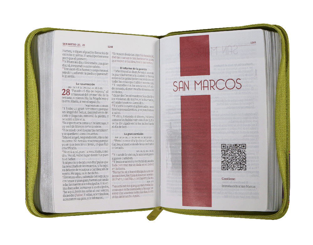 Biblia Reina Valera 1960 – 046 – Con Concordancia – Letra 9 pts – 12,5x17 cm – Palabras de Jesús en Rojo – Cierre – Flor Verde/Lila