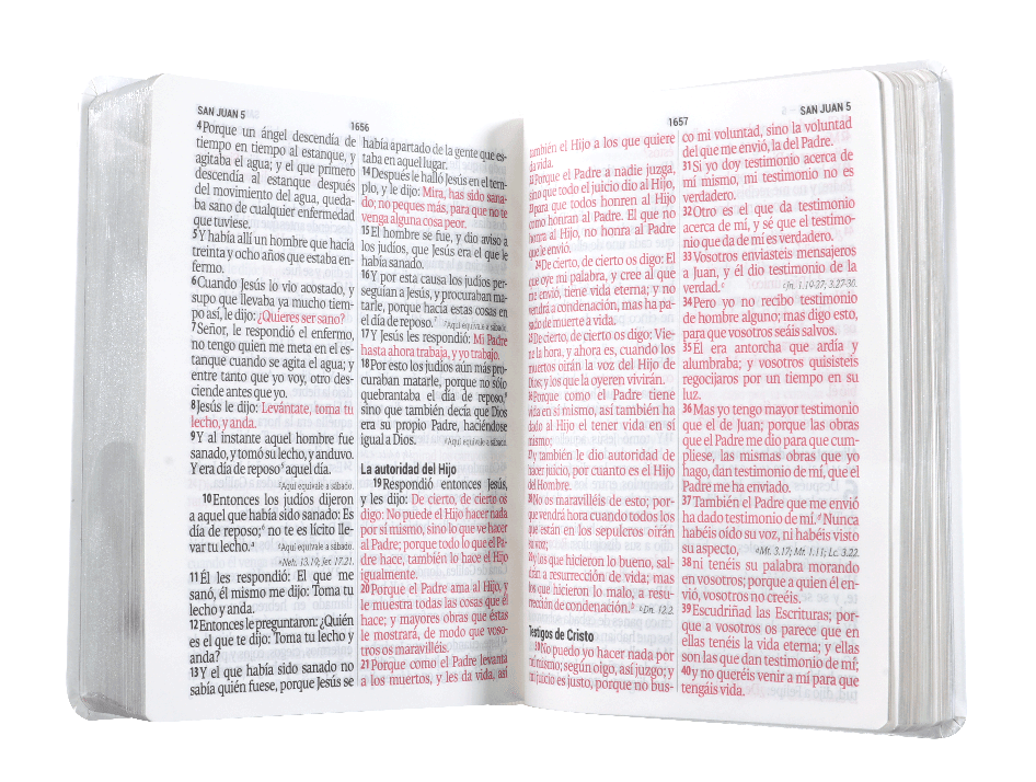 Biblia Reina Valera 1960 Letra Grande 14 Puntos Blanca