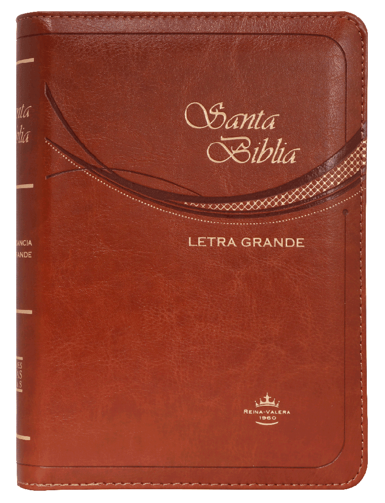 Biblia Reina Valera 1960 Letra Mediana Con Concordancia Con Cierre con Índice Color Café 11 x 16 cm