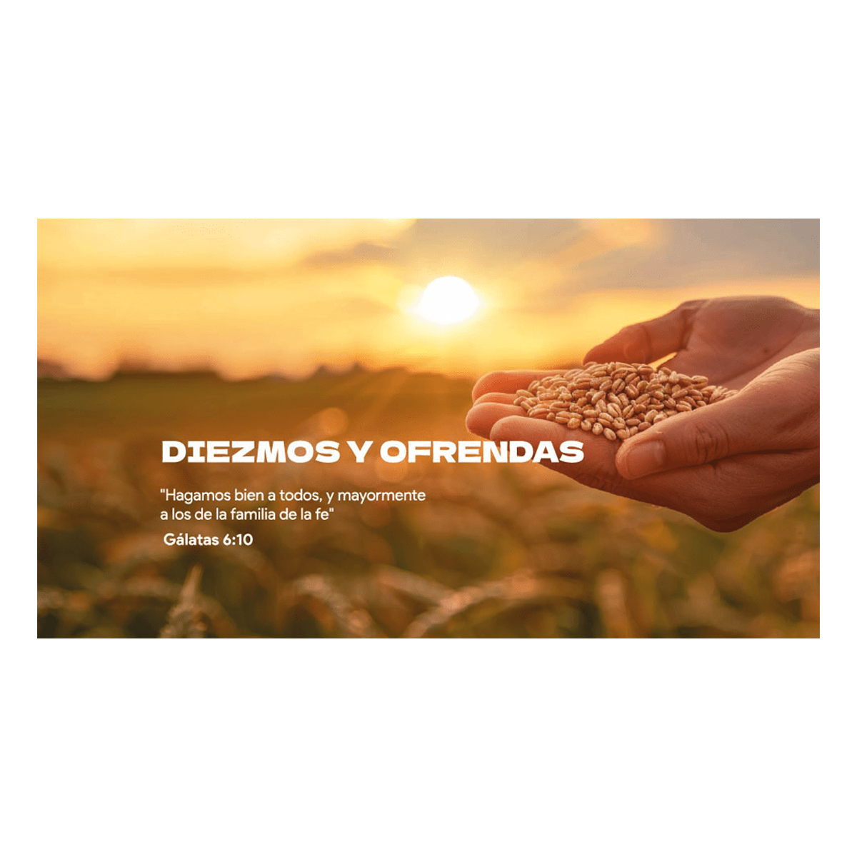 Sobre de Diezmos y Ofrendas - Amanecer - Pack 100u