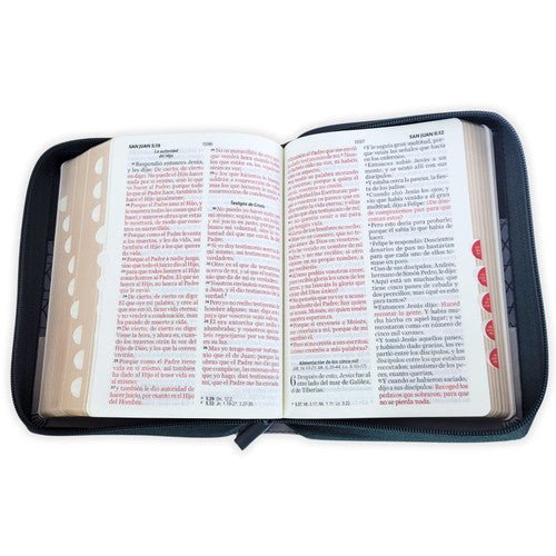 Biblia Reina Valera 1960 045 Concordancia Cierre Indice pjr Tricolor Negro - Gris