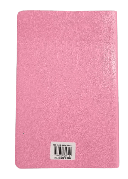 Biblia Reina Valera 1960 · 13,5x21 cm · Letra 9 pt · Fuente Bendición ·