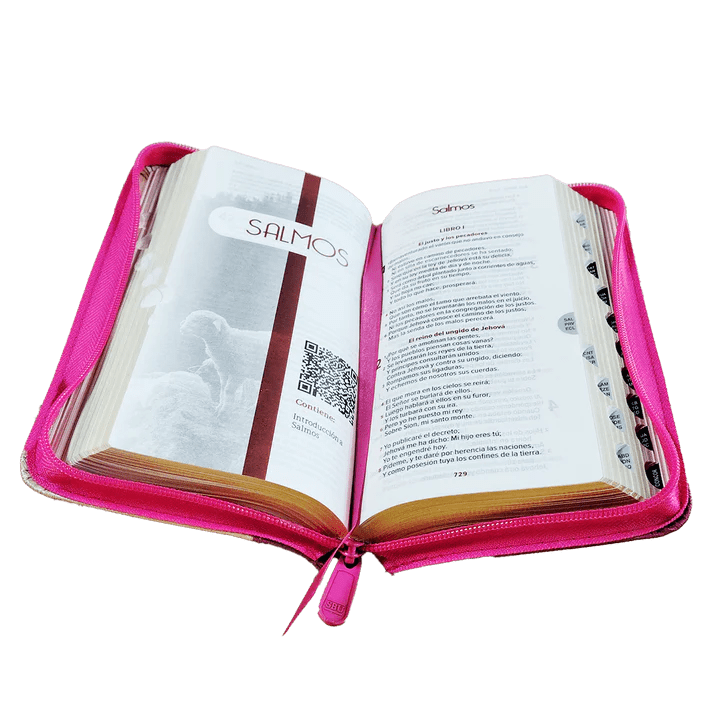 Biblia Reina Valera 1960 – 036 – Con Concordancia – Letra 8 pts – 8,5Six16,5 cm – Palabras de Jesús en Rojo – Cierre con Índice – Tapa PU Rosa/Beige