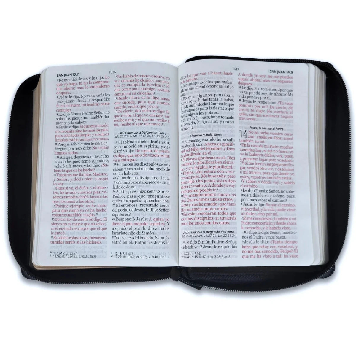 Biblia Reina Valera 1960 – 025 – Con Concordancia – Letra 11 pts – 11x16 cm – Cierre – Negro