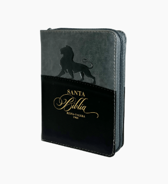 Biblia RVR60 025czti PJR - Expresión. Negro/gris León